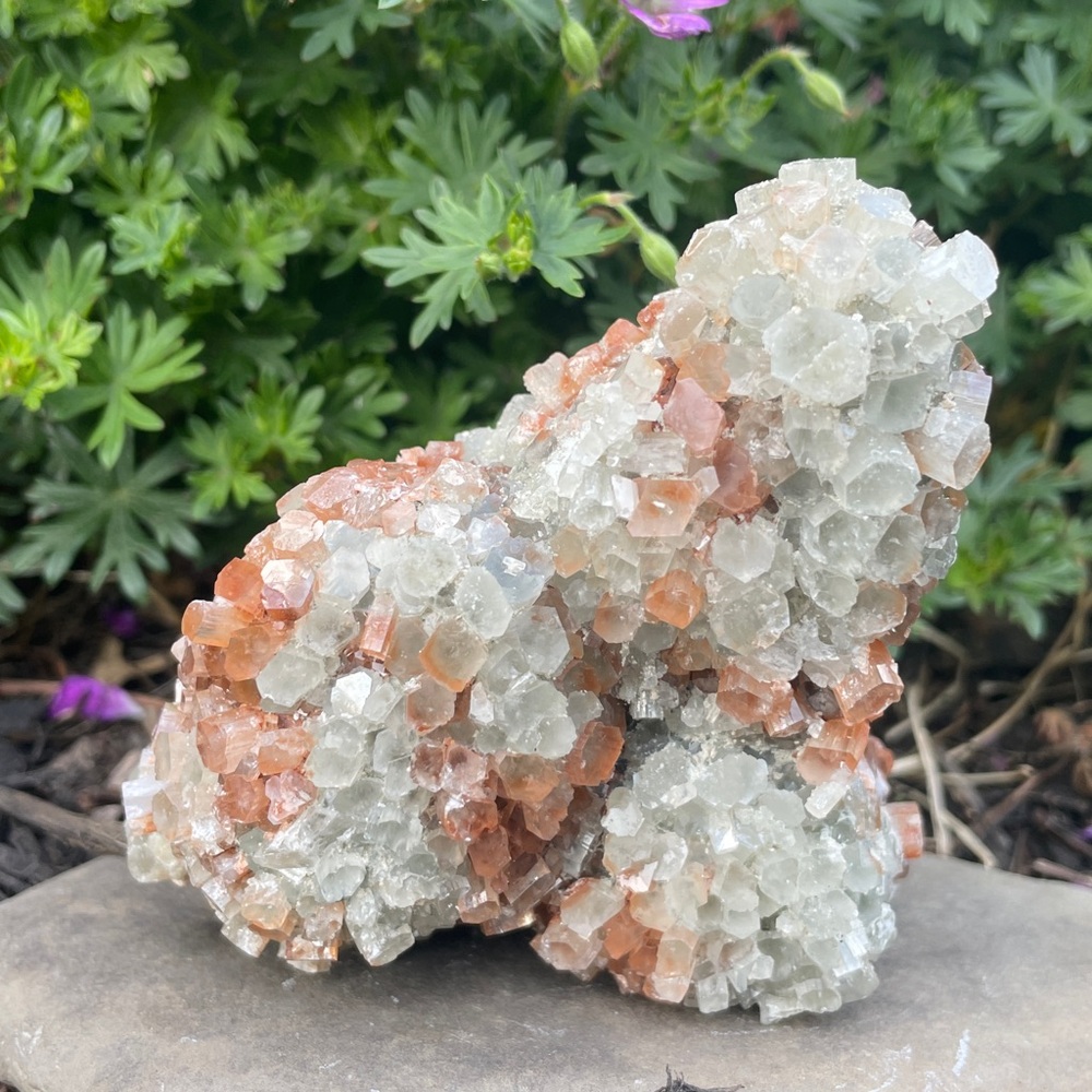 Bicolored Aragonite Cluster